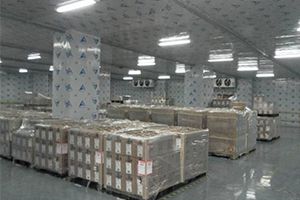 Примеры холодильных комнат